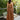 Conjunto Mocha - ELLAU - Conjunto Feminino 2 Peças Elegante em Luanda