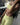 Conjunto Fitness Belissa - ELLAU - Conjunto Fitness Feminino em Luanda